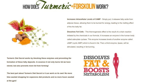How does Turmeric Forskolin Works
